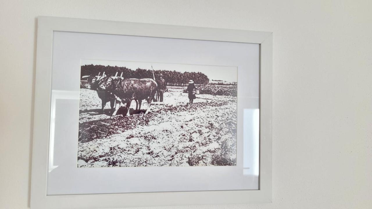 Casa Da Costureira Villa Brejao ภายนอก รูปภาพ